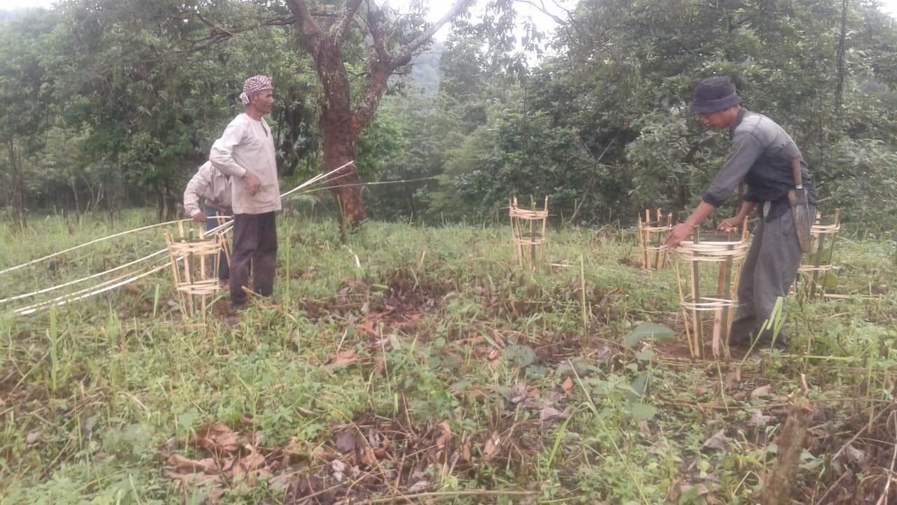 G:\Medical Leave Gordon\VILLAGE REPORT PICTURES\JIRANG BLOCK\mynnar jirang\6.afforestation\WhatsApp Image 2023-02-09 at 14.51.52.jpeg